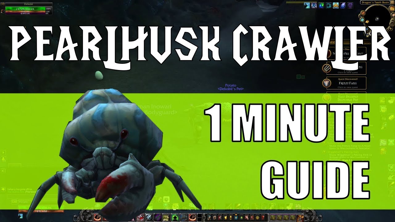 Beat Pearl Husk Crawler: Mechanical & Flying Pet Strategy