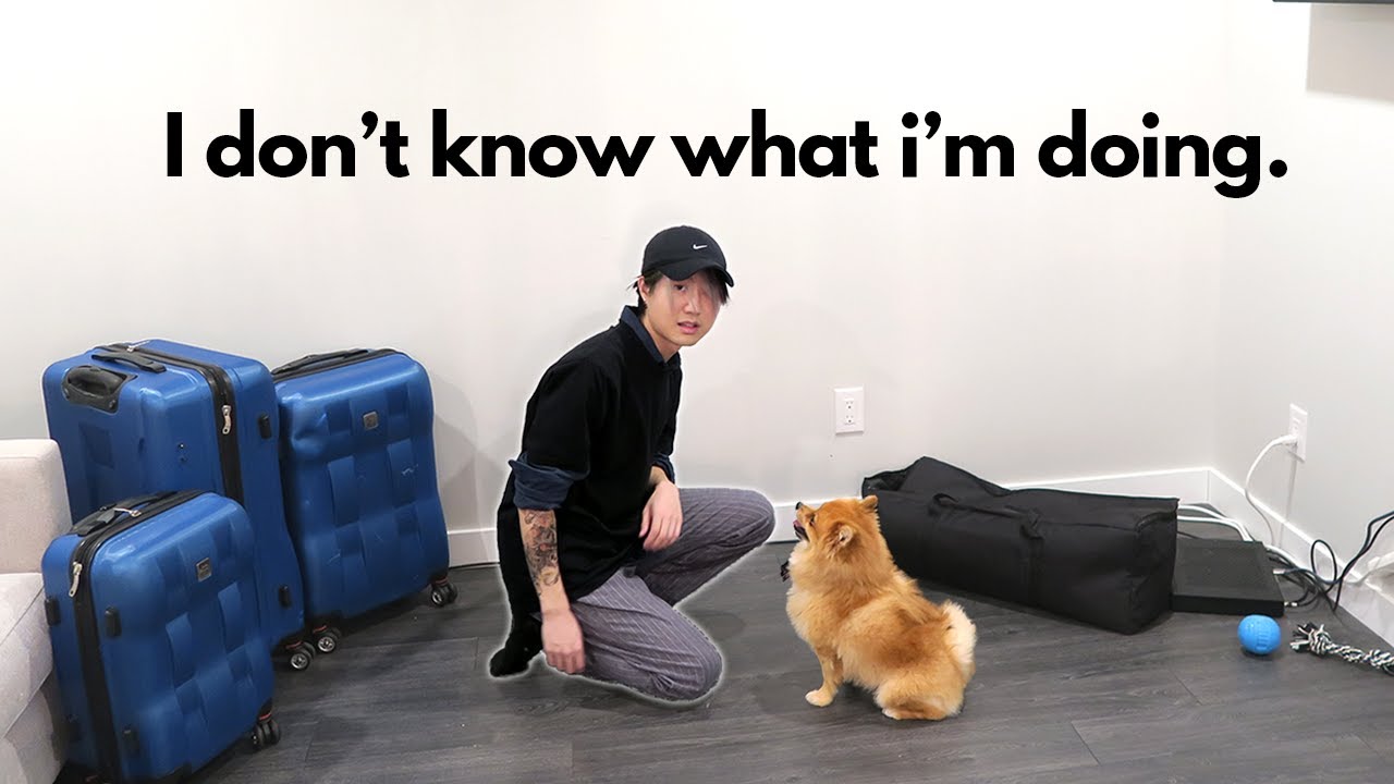 First Apartment Essentials: Moving & Living Alone Lessons Learned