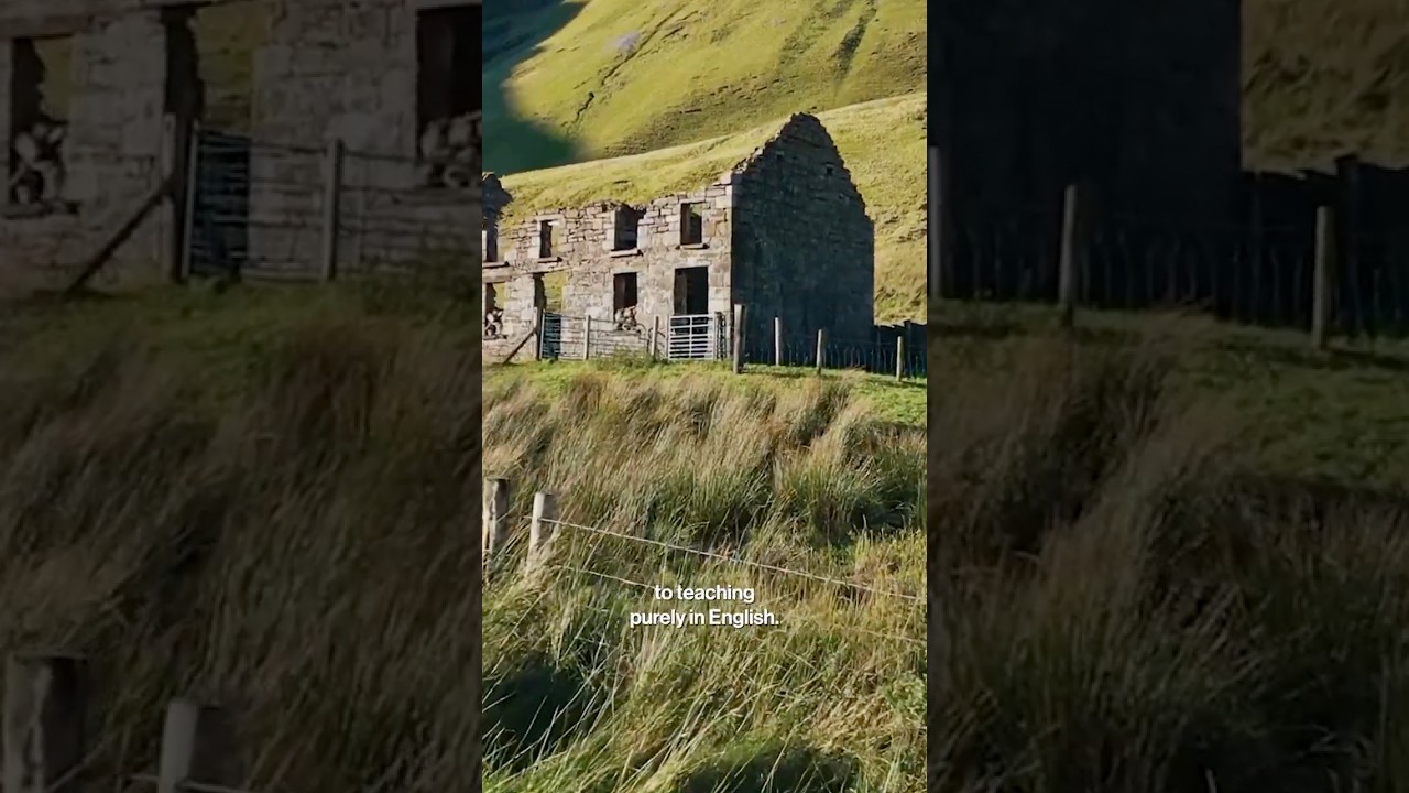 Irish Language Revival: History of Suppression and Cultural Resistance