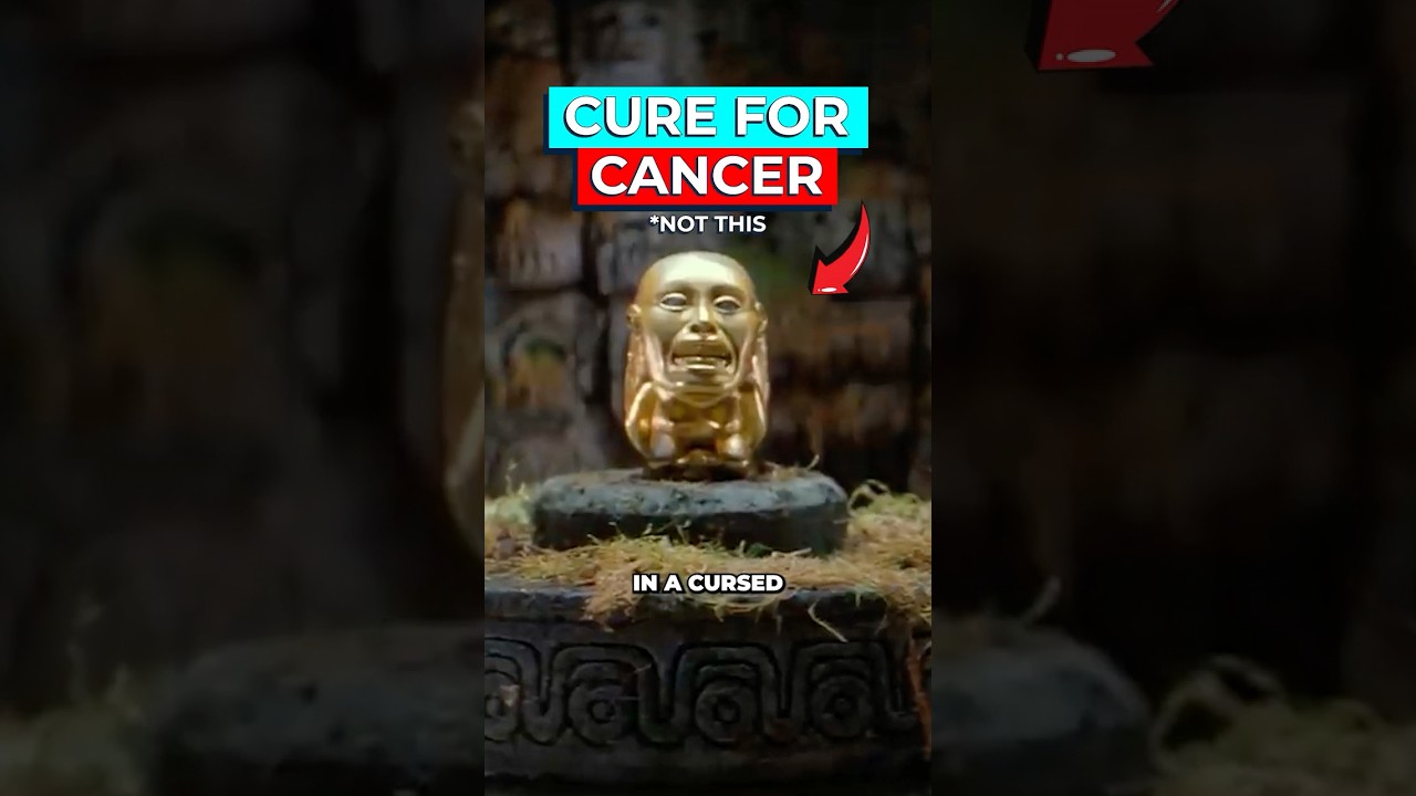 Egyptian Tomb Fungus Sparks Breakthrough Cancer Treatment Research