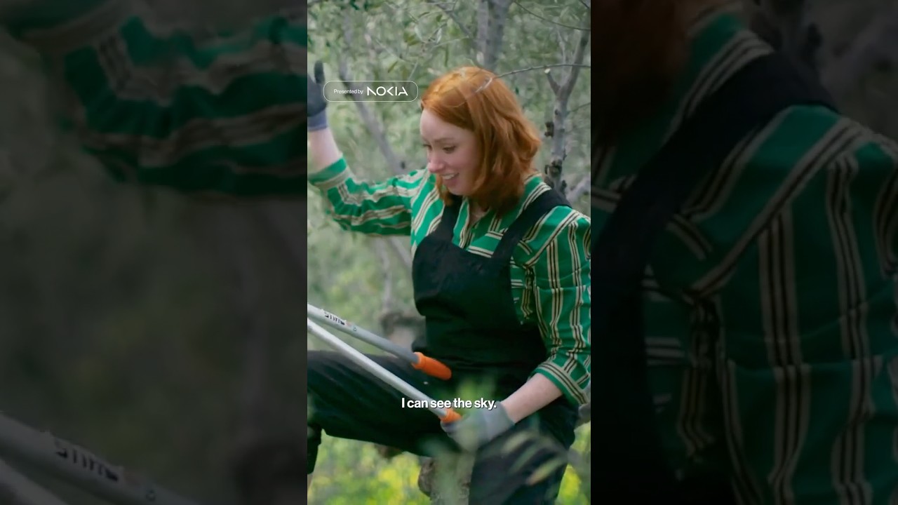 Prune Olive Trees Like a Greek Farmer: Millennial Wisdom