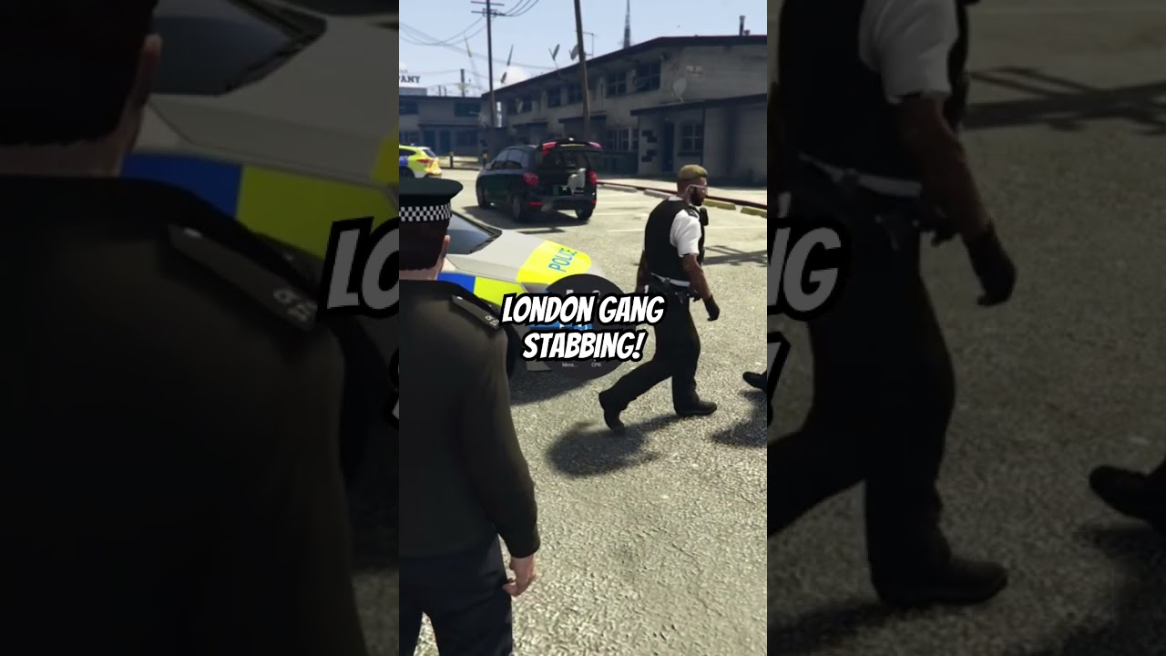 Inspector Leg Injury Assessment Protocol Guide