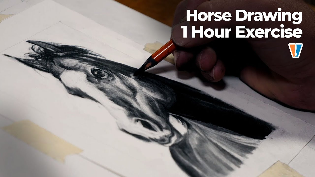 Draw a Horse in 1 Hour with Charcoal: Step-by-Step Guide