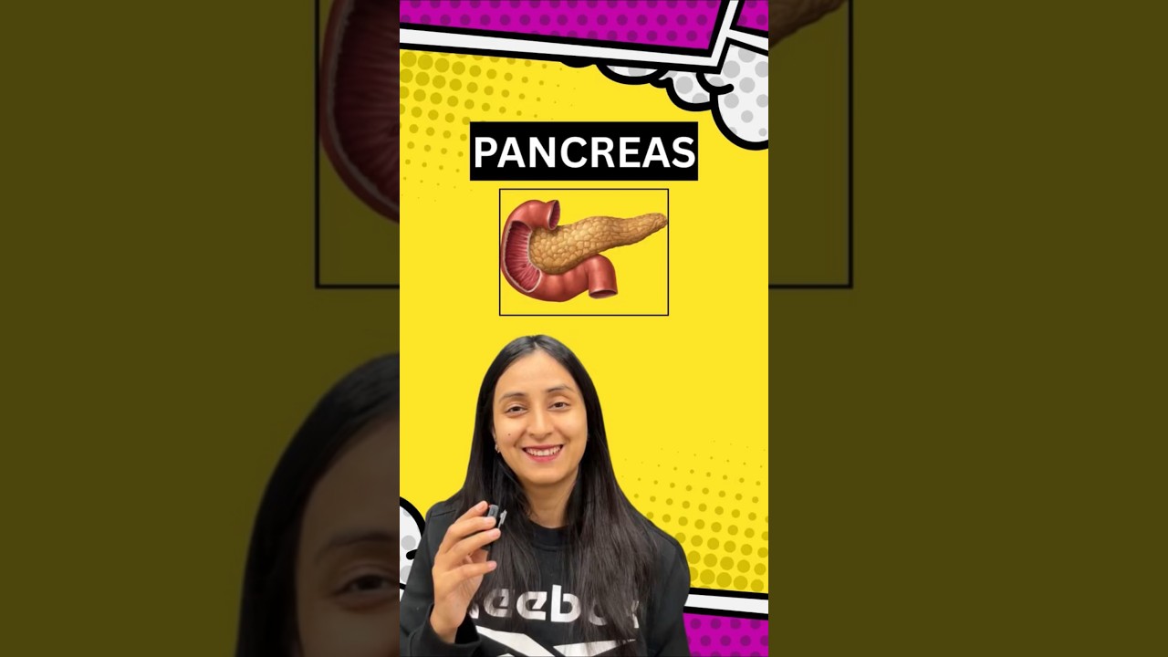 How Insulin and Glucagon Control Blood Sugar Levels