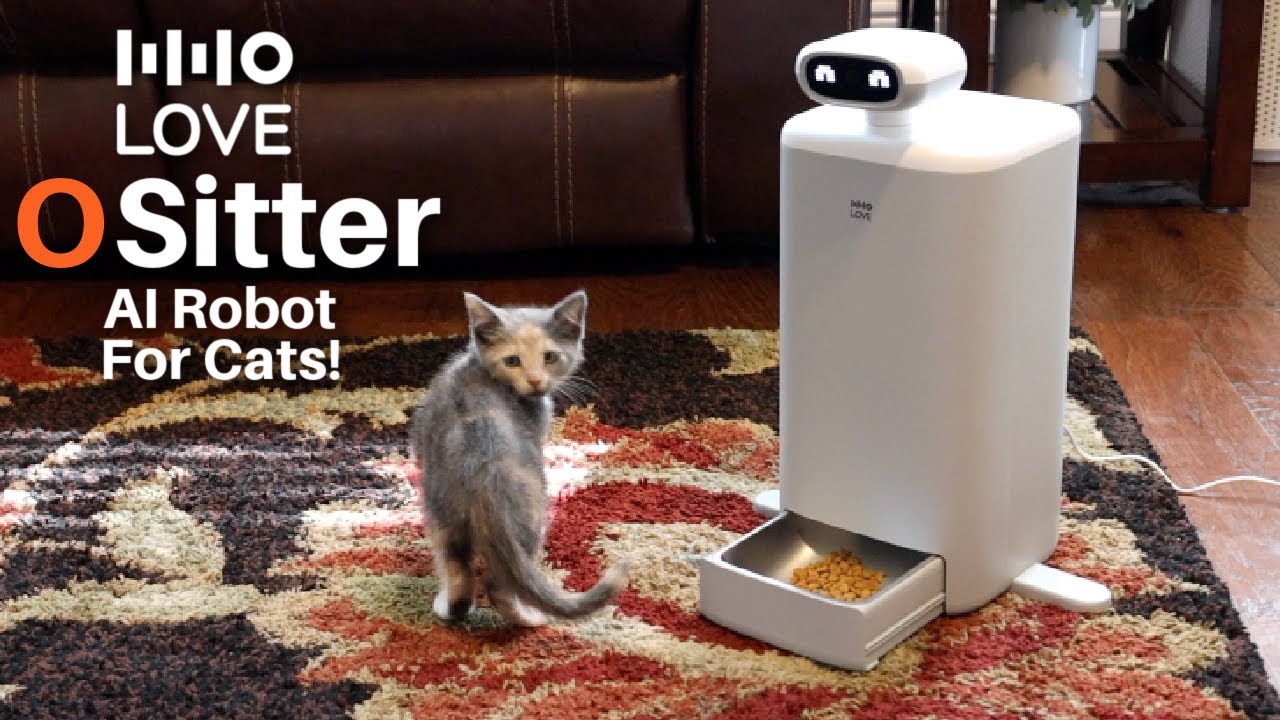 HHO Love Oh Sitter Review: All-in-One Pet Monitoring & Feeding