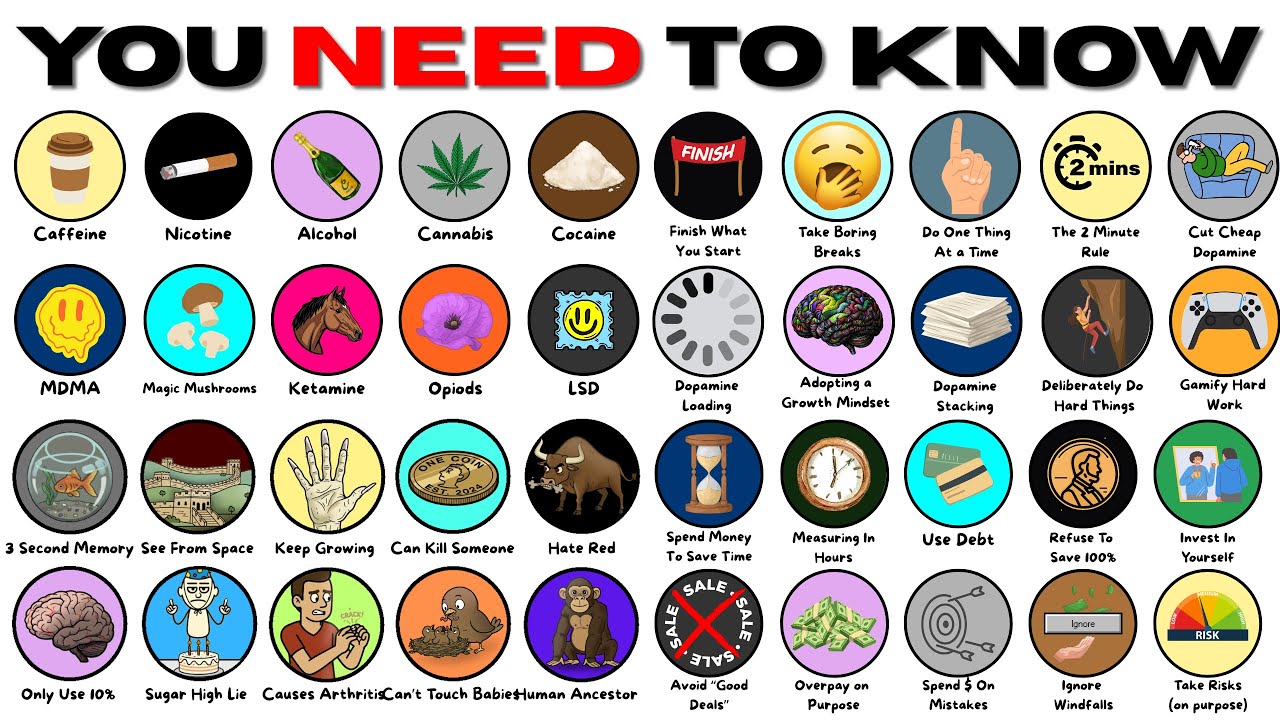 Brain Chemistry Decoded: Drugs, Productivity & Myths Explained