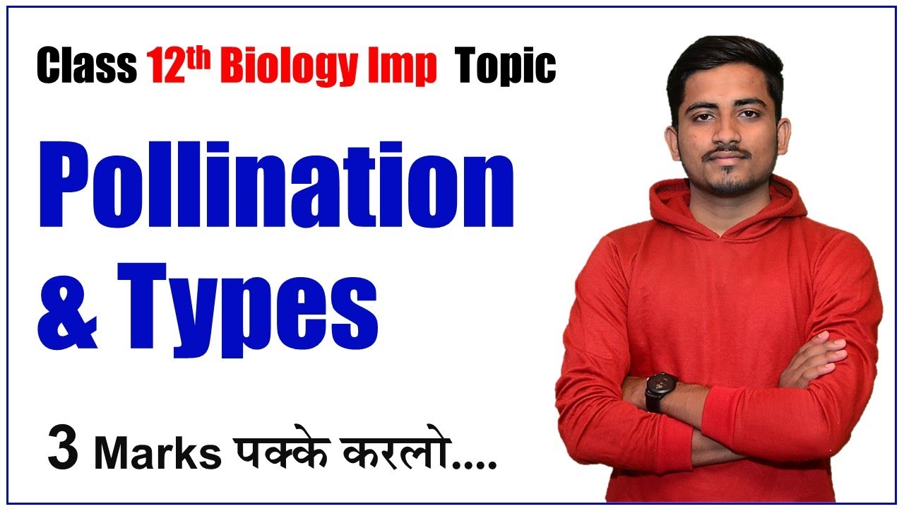 Master Pollination Types: Biology Exam Guide with Diagrams