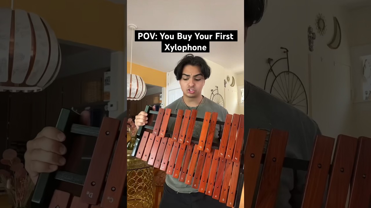 Adult Xylophone Guide: Why It's the Perfect First Instrument