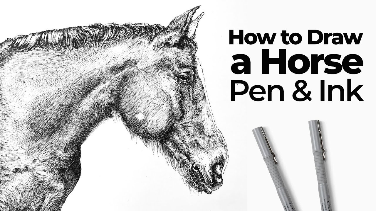 Master Pen and Ink Horse Drawing: Step-by-Step Guide