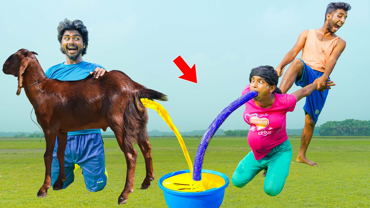 Understanding Chaotic Hindi Video Scripts: Expert Analysis