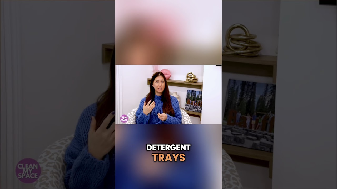 Find Hidden Mold: 9 Key Spots to Check Now