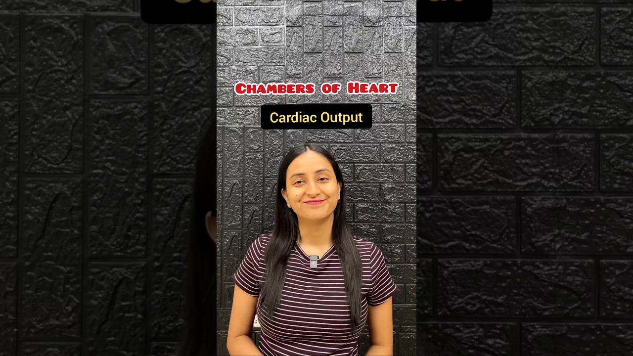 Why Ventricular Walls Are Thicker & Cardiac Output Explained