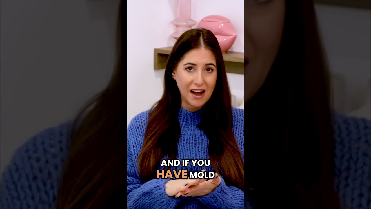 Stop Mold from Returning: Permanent Removal Guide