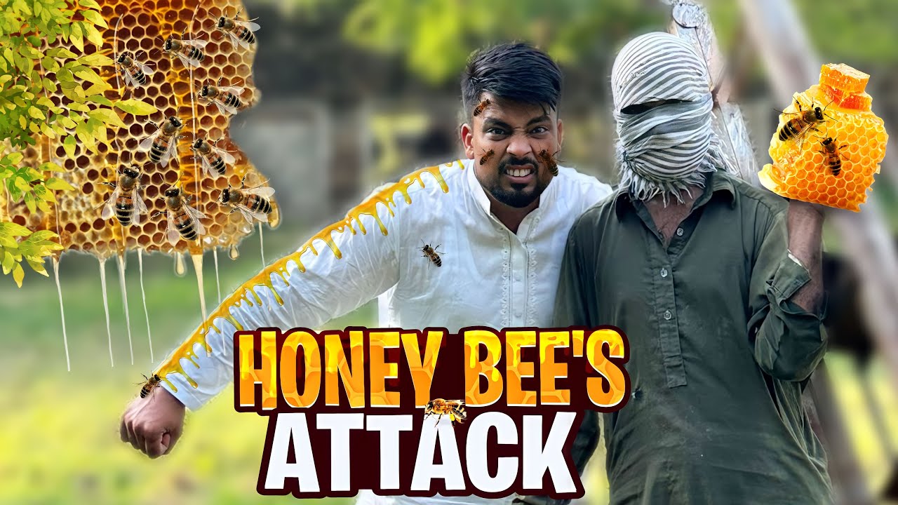 Traditional Butter Churning: 3 Authentic Techniques & Modern Applications