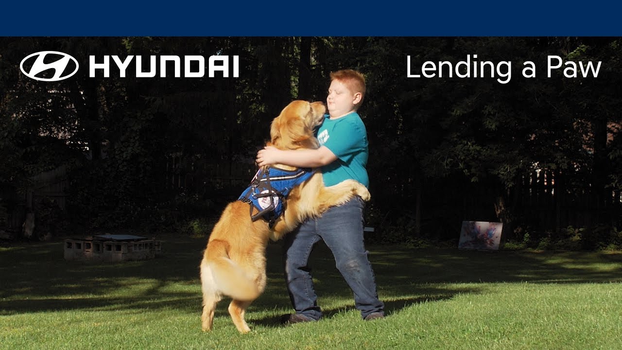 title：How Service Dogs Transform Lives: Cal & Artie’s Inspiring Story