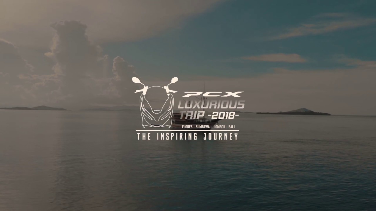 Honda PCX Durability Tested: Real-World Toughness Review