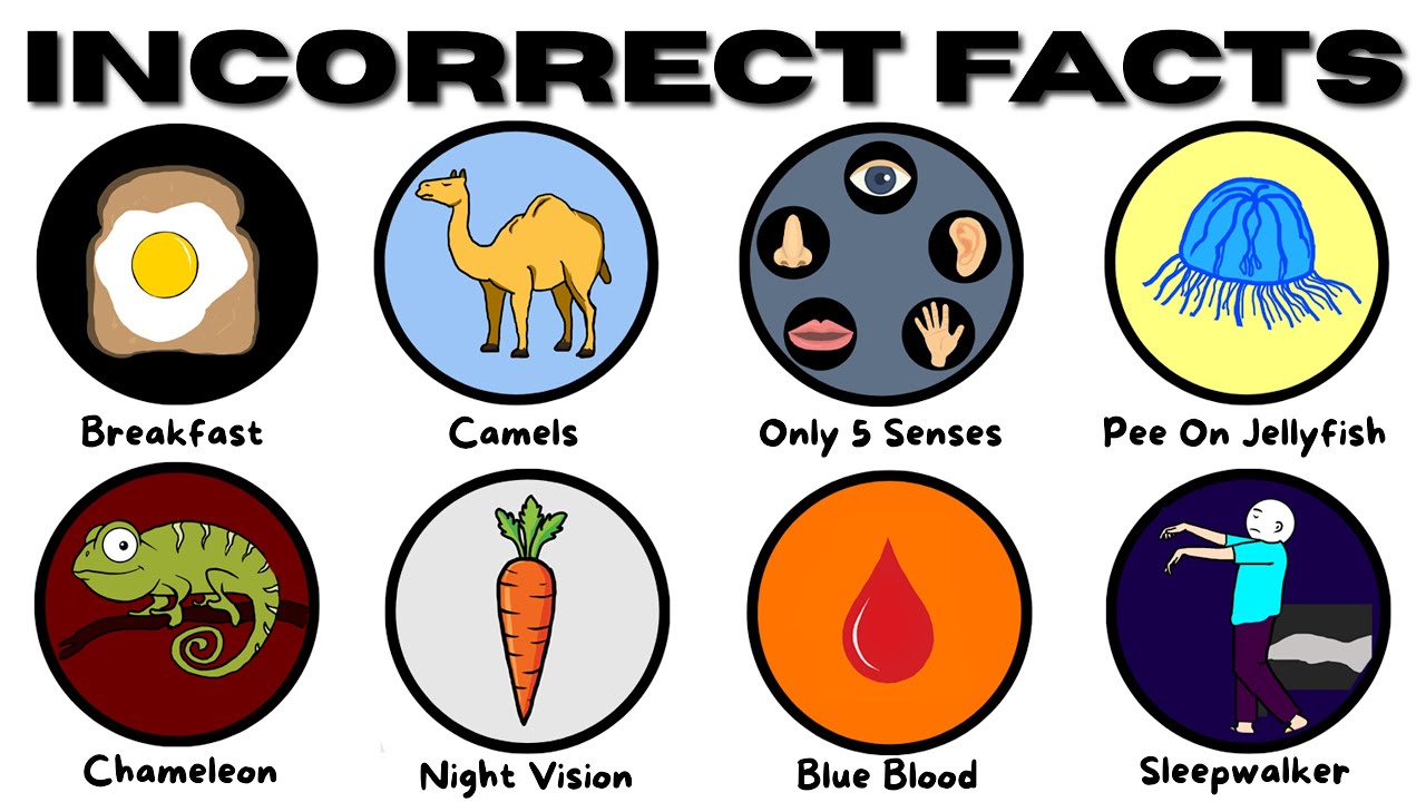 10 Common Myths Debunked by Science and History