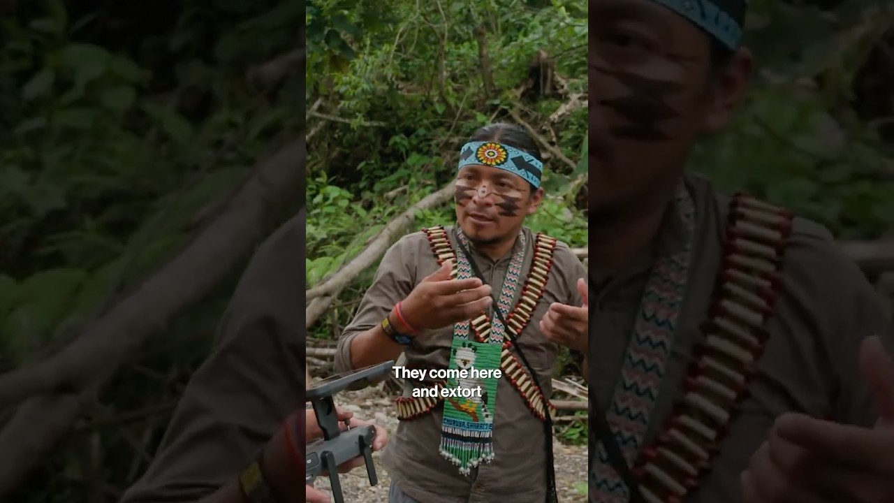 Amazon Road Myths Exposed: Truths Behind Deforestation Crisis