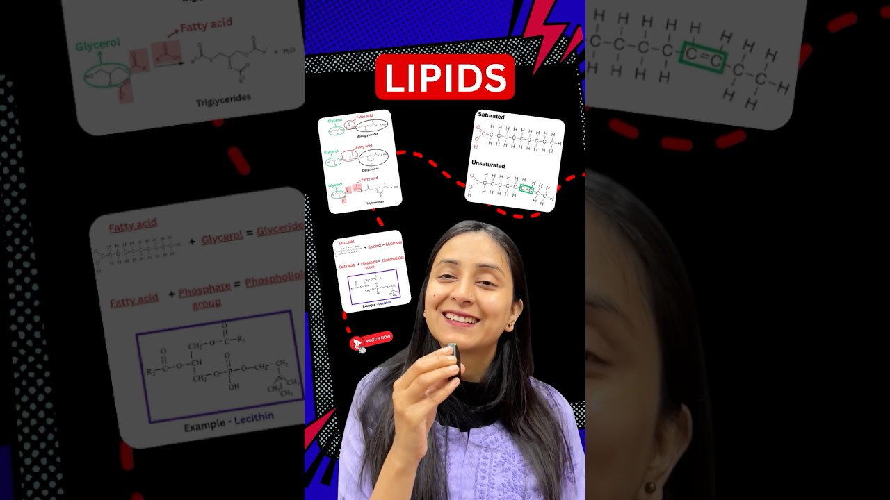 Lipid Essentials: Fatty Acids Structure & Functions Explained