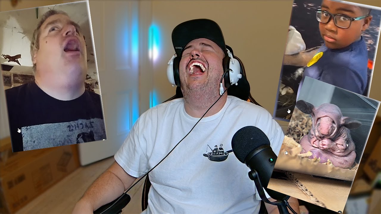 Daz Watches: Internet's Funniest Viral Moments Analyzed