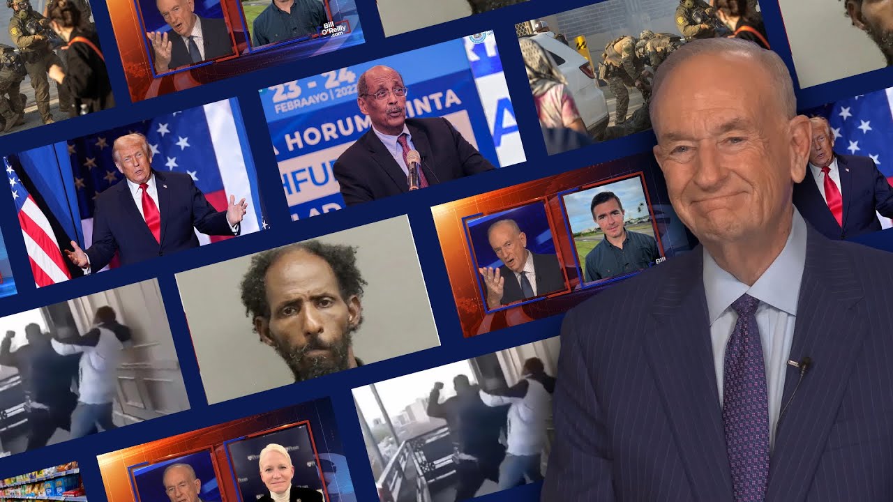 Judicial Leniency Failures: Nashville Case Exposes Deadly Risks