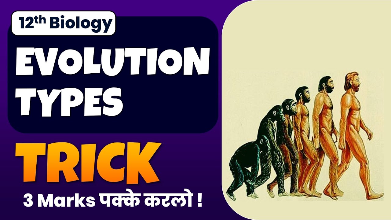 Homologous vs Analogous Evolution: Clear Distinction with Memory Tricks