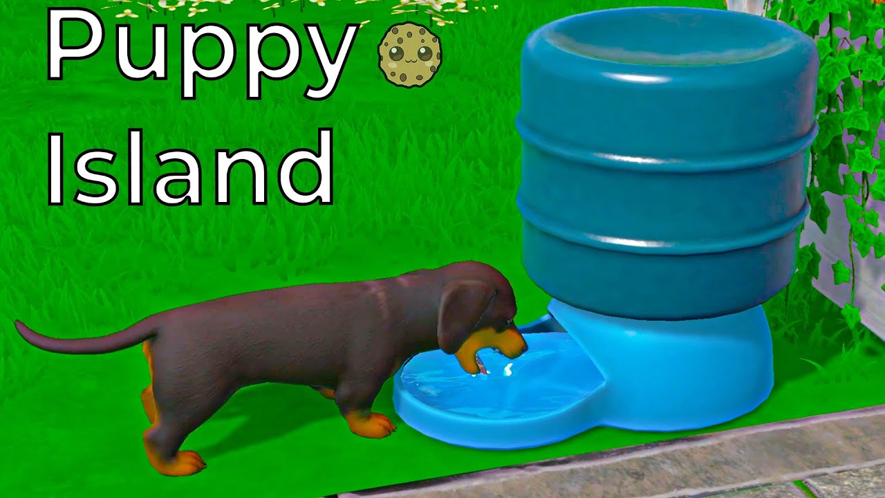 Puppy Island Guide: Naming, Exploration & Outfit Tips
