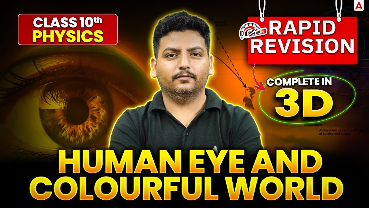 Human Eye 3D Revision: Anatomy, Vision Defects & Light Phenomena