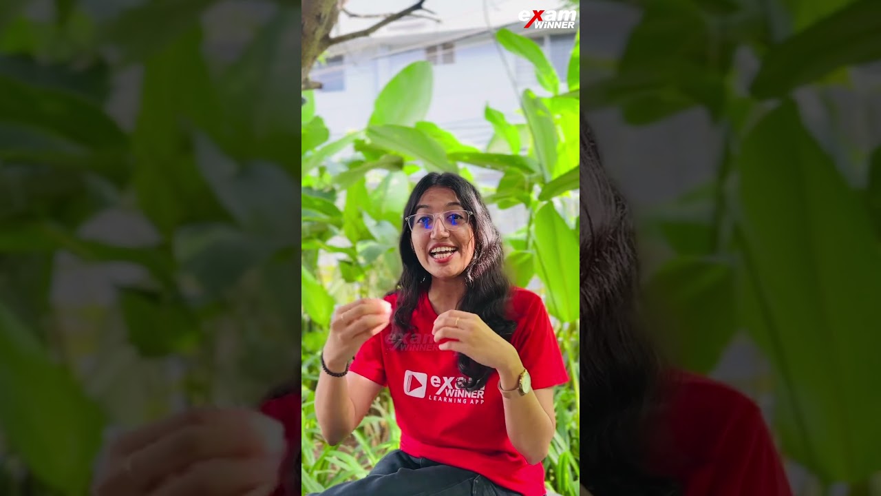 How to Build Authentic Friendships Across Cultures