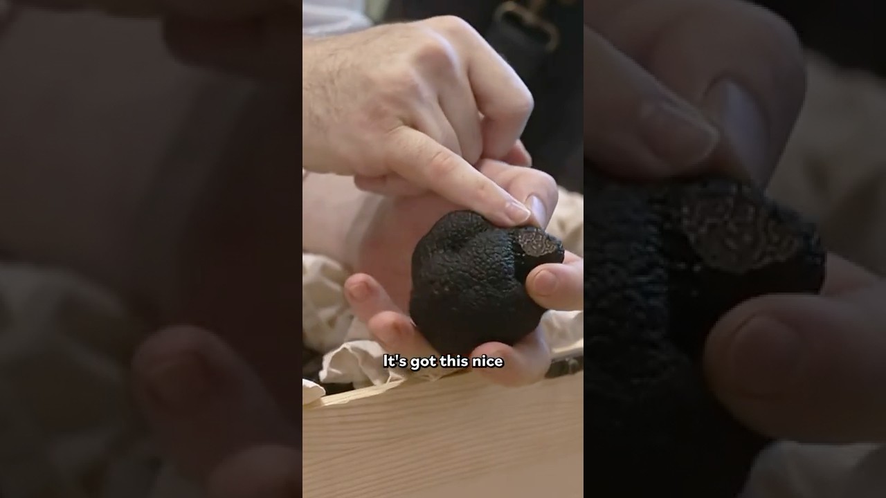 Truffle Supplement Pricing and Restaurant Application Insights