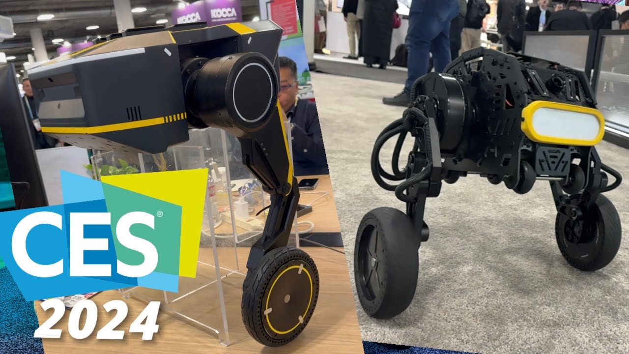 Vectornect's Ta & Diablo Robots: CES 2024 Highlights