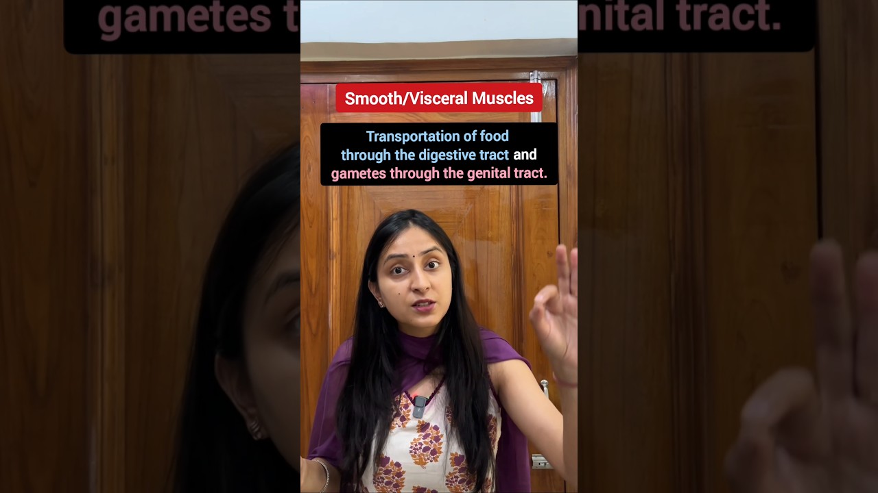 3 Types of Muscles: Skeletal, Smooth & Cardiac Explained