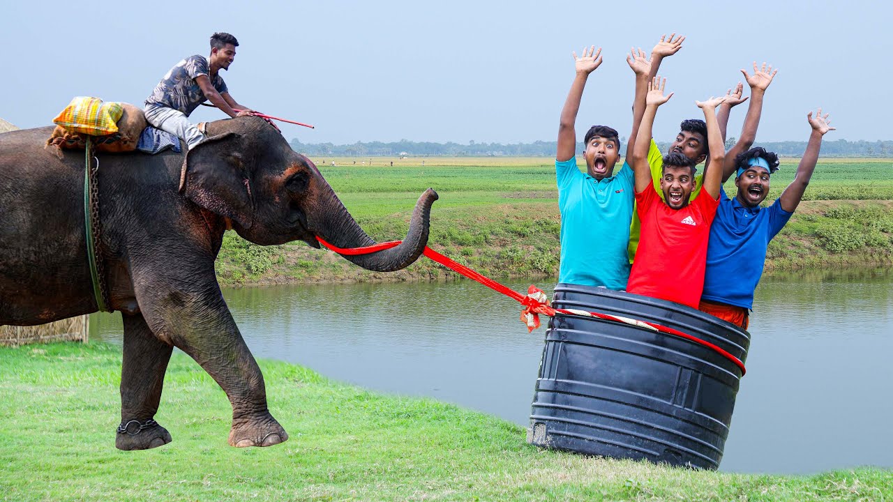 Why Viral Sound Clips Dominate: Analysis of Internet Culture