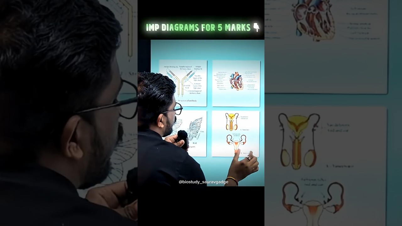 Top 10 Must-Know Biology Diagrams for 2026 Exams (25 Marks Guaranteed)