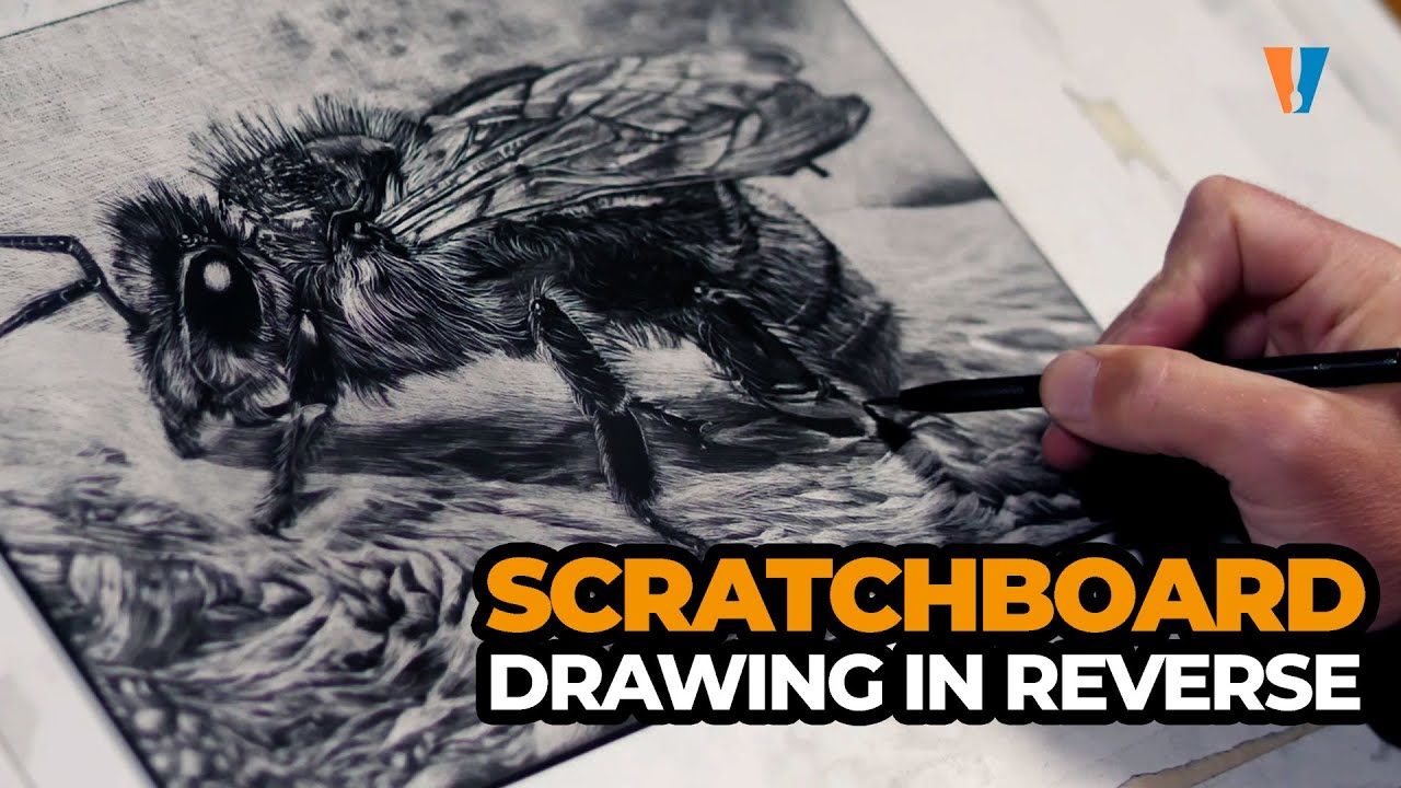 Beginner's Guide to Scratchboard Art: Techniques & Tips