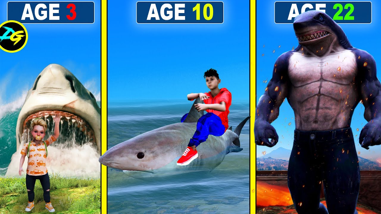 Shark Whisperer's Underwater Odyssey: Fact Meets Fiction