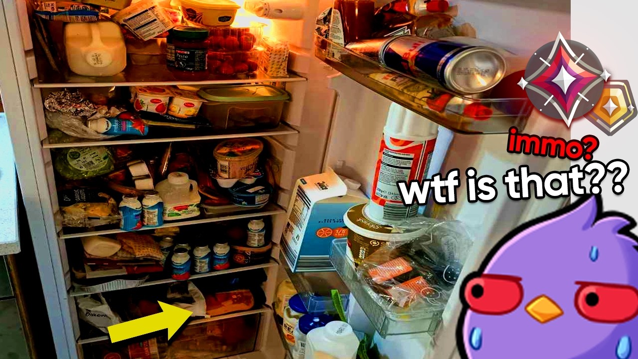 Valorant Ranks Revealed: What Your Fridge Says About Your Game