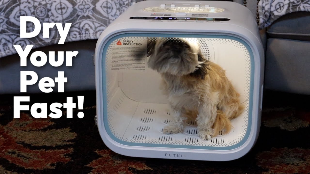 Petkit Air Salon Max Review: Stress-Free Dog Drying Solution
