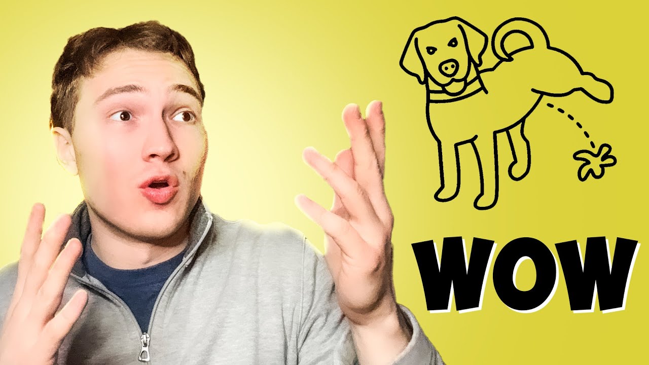 Pcoin Memecoin Analysis: Potential, Risks & How to Buy