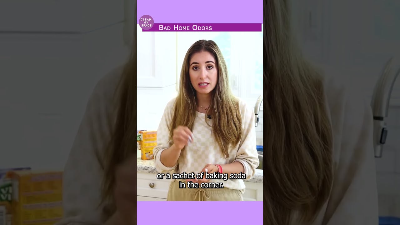 3 Natural Odor Absorbers: Cheap & Effective Solutions