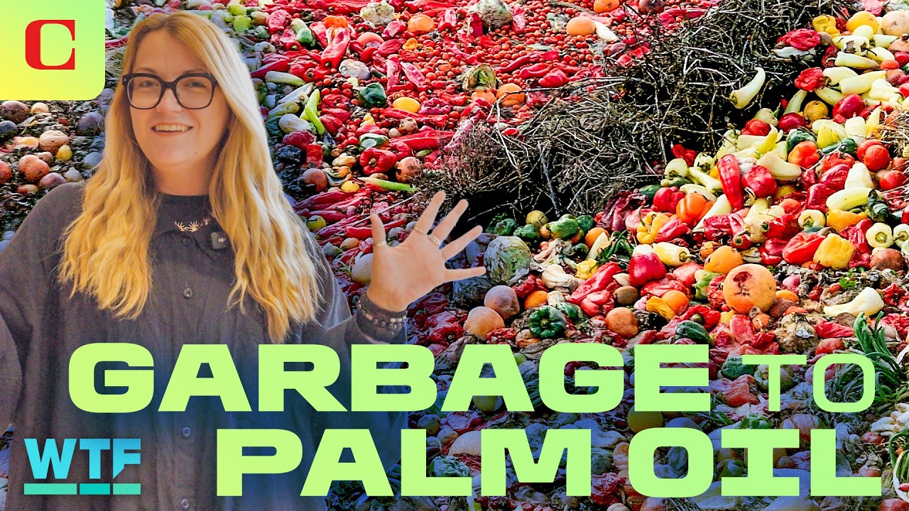 Food Waste Oil: Sustainable Palm Oil Alternative