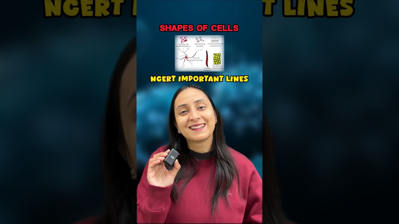Cell Size and Shape Adaptations Explained with NCERT Insights