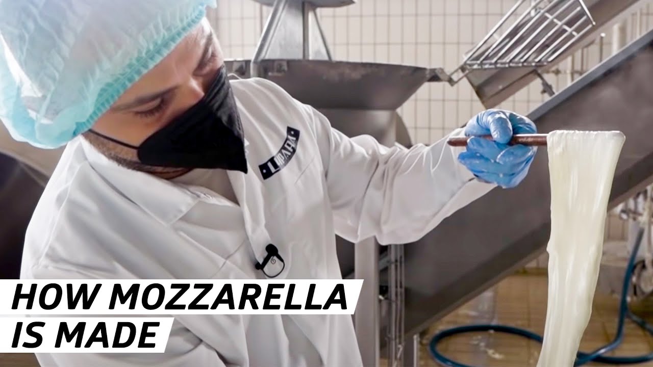 Authentic Mozzarella di Bufala: Crafting Tradition from Farm to Table