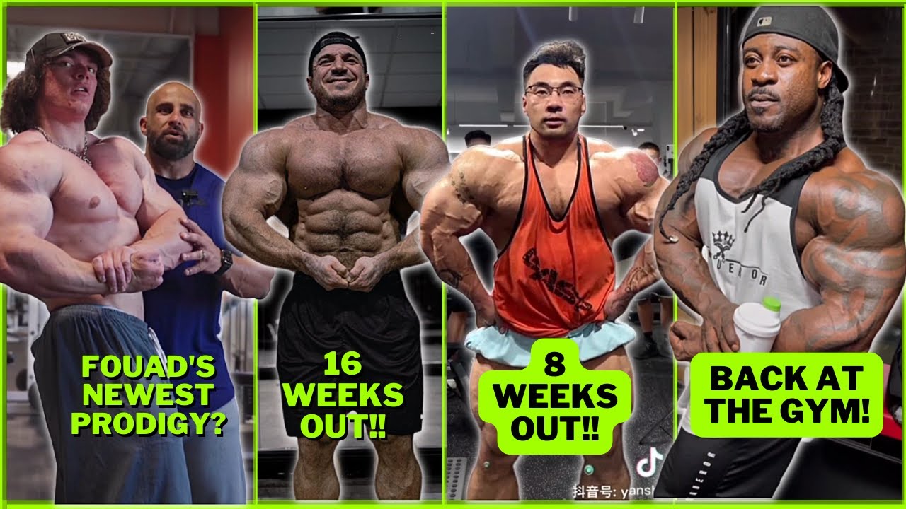 Elite Bodybuilder Updates: Xu Mingyan, Bonac, Sulek & Wilkin Analysis
