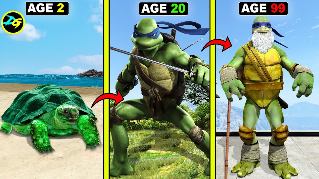 TMNT Sibling Co-op Mastery: Dominate Challenges Tonight