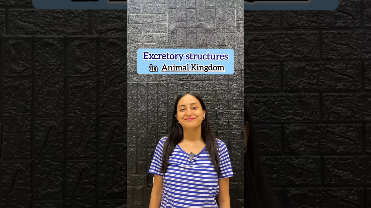 Animal Excretory Structures Compared: Invertebrates to Vertebrates