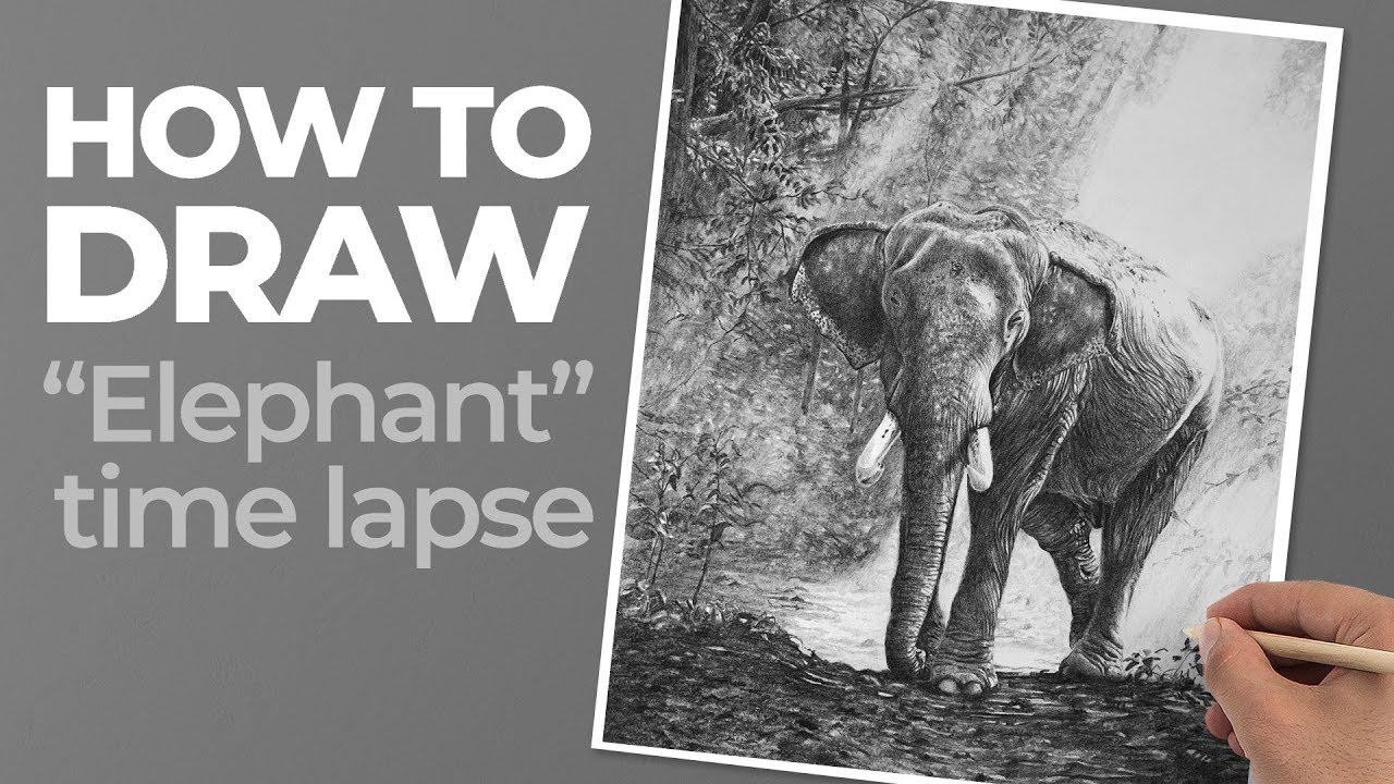 Master Graphite Elephant Drawings: Step-by-Step Guide