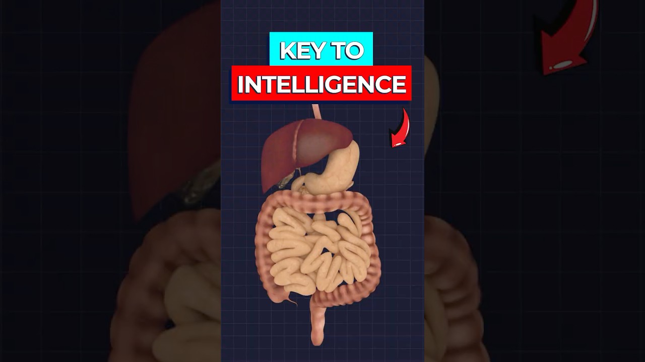 Human Gut Microbiome Fueled Brain Evolution Study