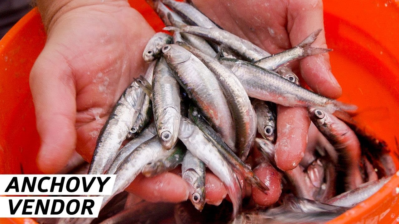 Fresh California Anchovies: Why Chefs Revere This Local Delicacy