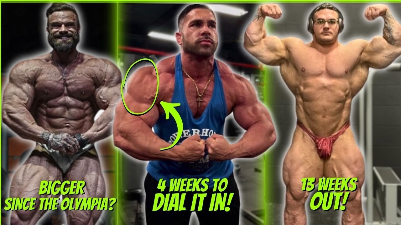 Mike Sommerfeld Arnold Classic Physique Update Analysis